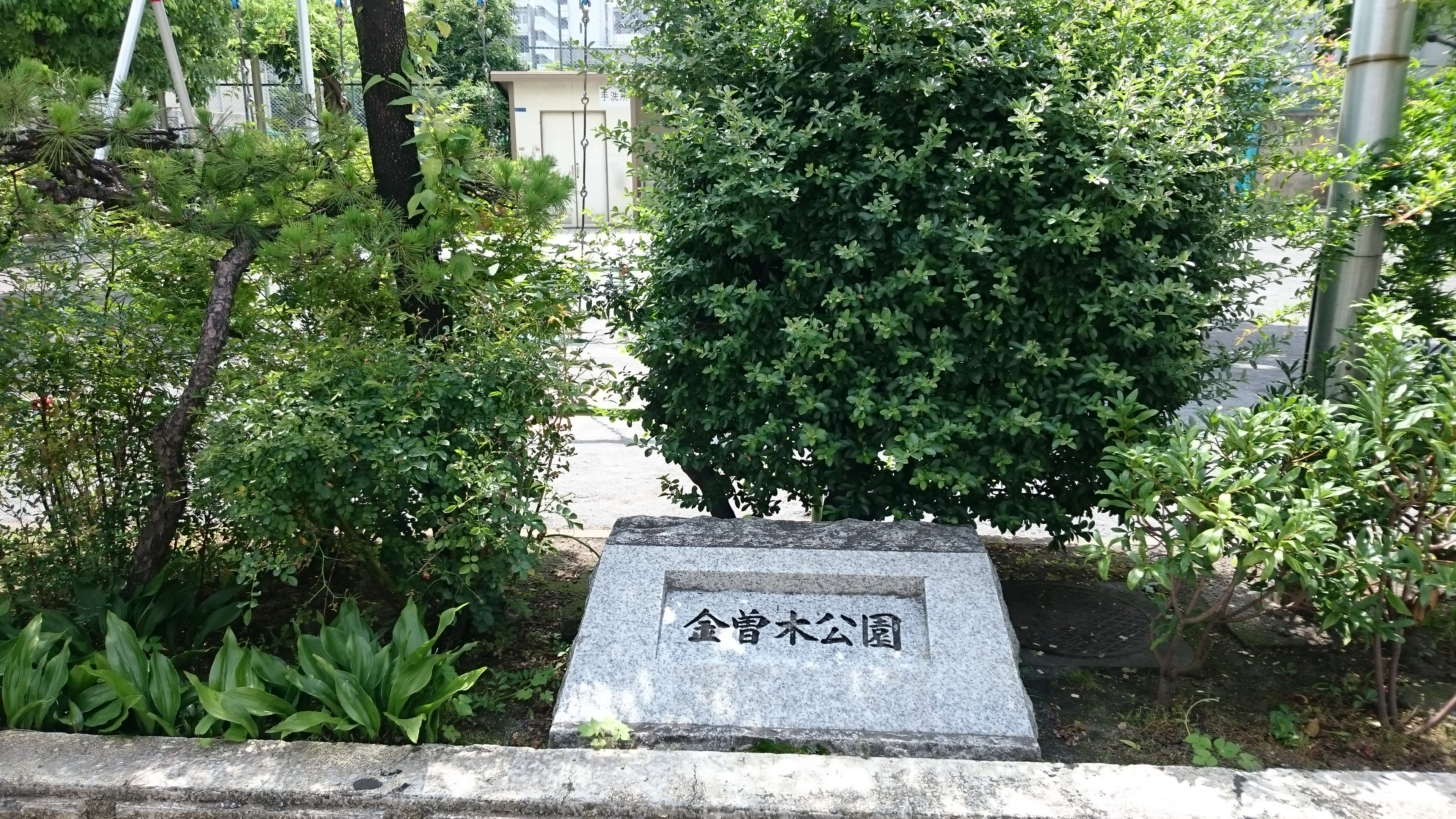 金曽木公園